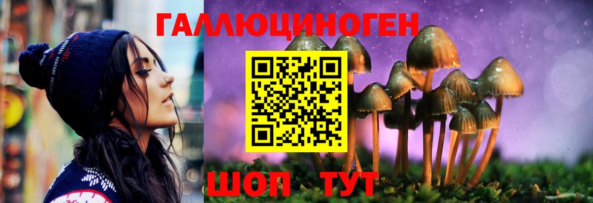 Псилоцибиновые грибы Cubensis  Вход с VPN  Гусиноозёрск 